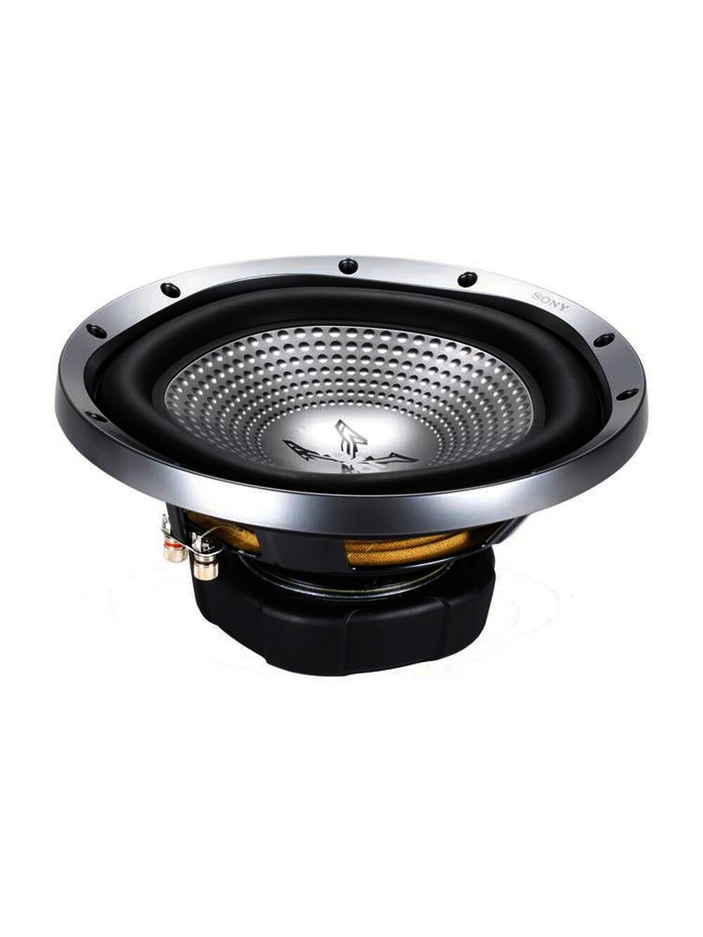 Sony XS-GTR121L 12-Inch GTR Series Subwoofer